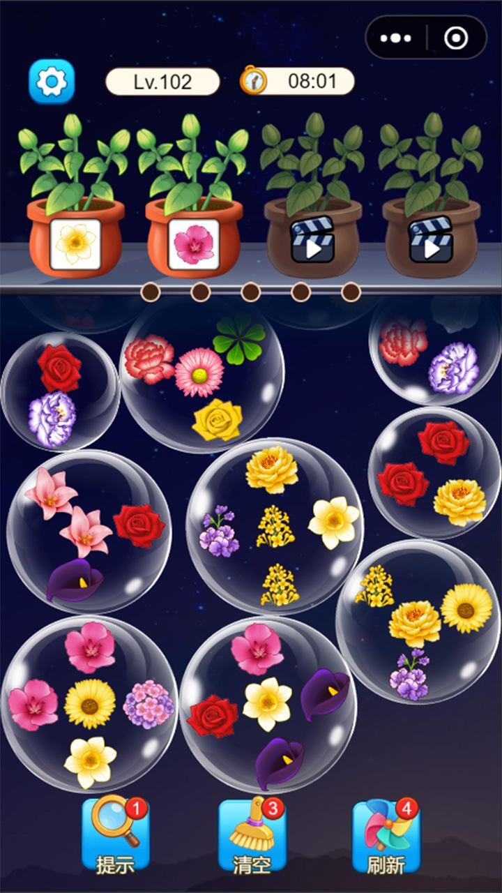 种了朵鲜花截图