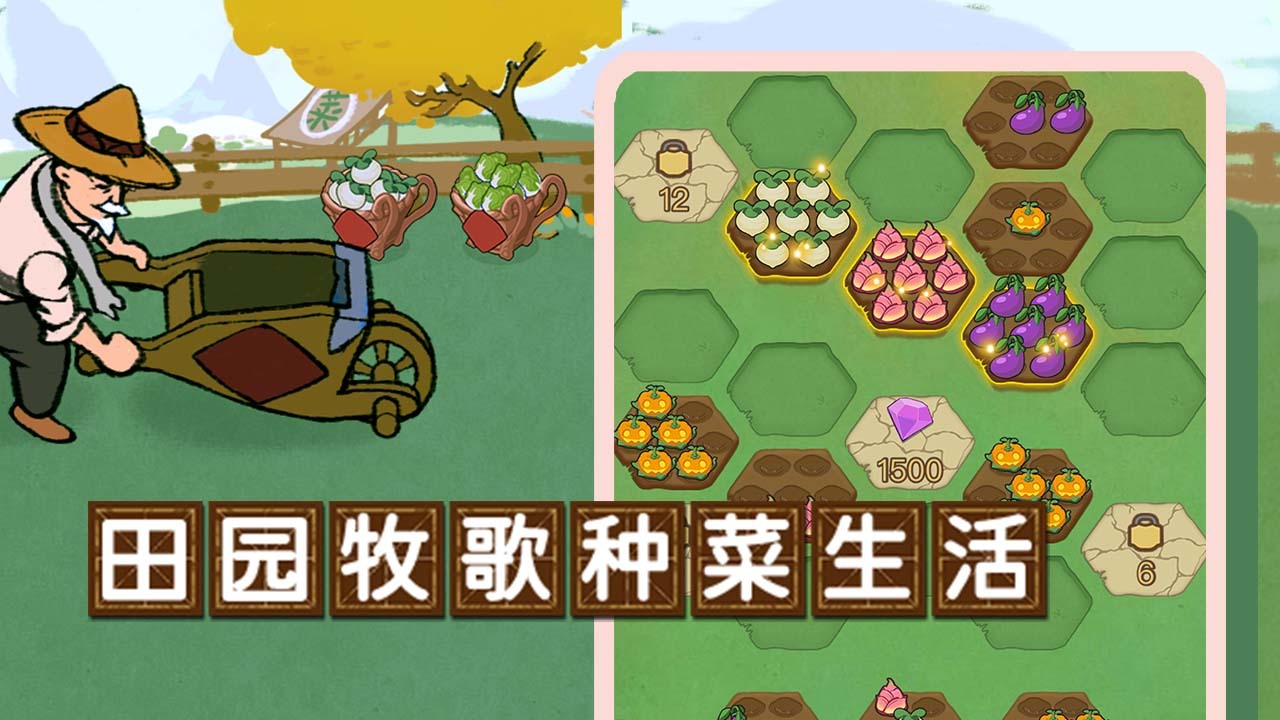 悠哉理一理截图