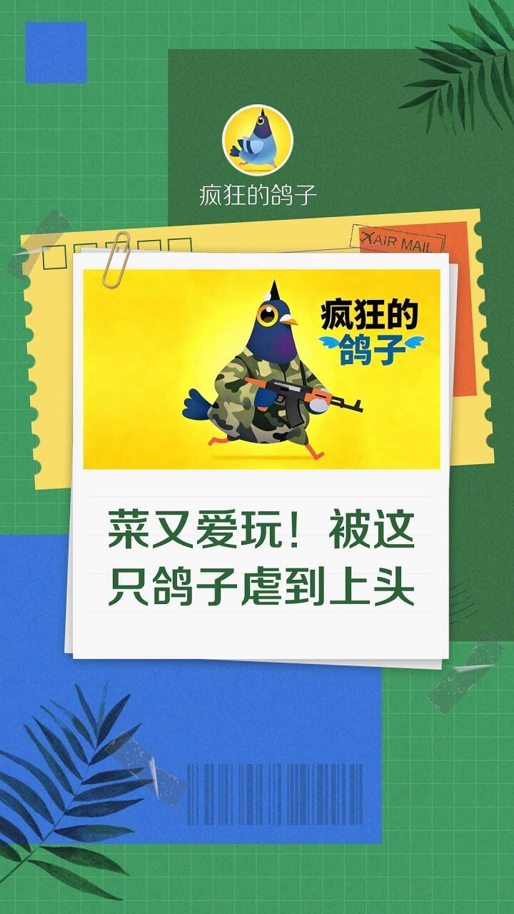 疯狂的鸽子手机版截图